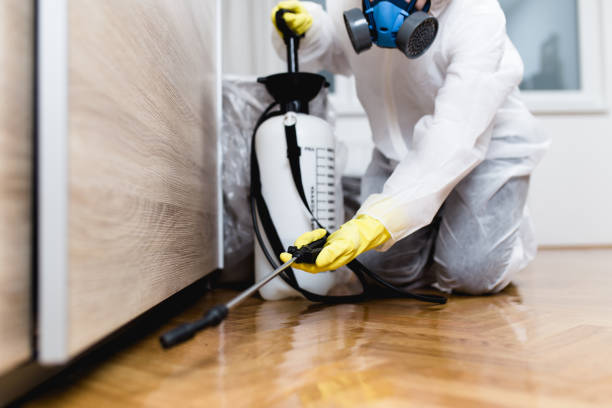 Best Best Pest Control Companies  in Paulina, LA