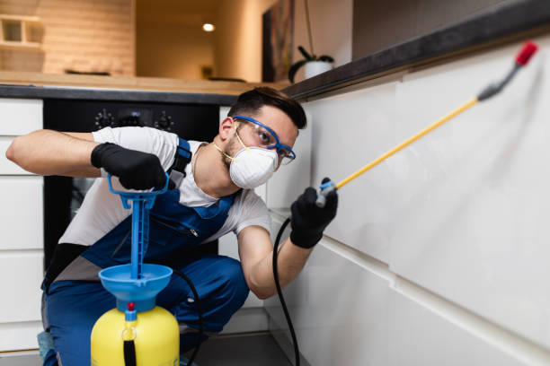 Professional Pest Control in Paulina, LA