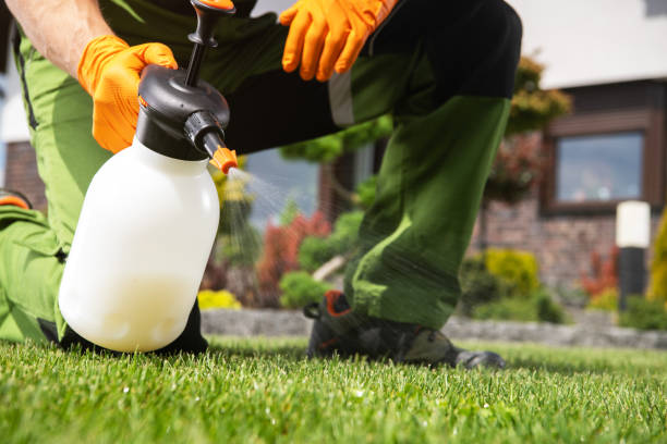 Best Affordable Pest Control Services  in Paulina, LA