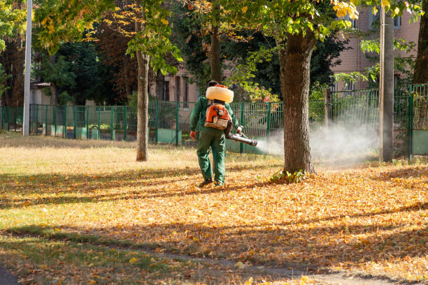 Best Affordable Pest Control Services  in Paulina, LA