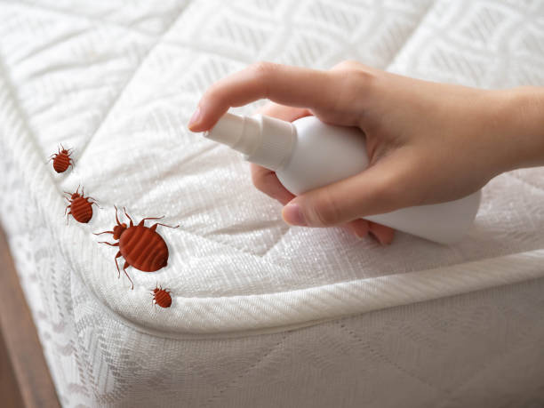 Best Mosquito Control Services  in Paulina, LA